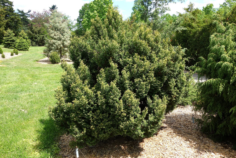 Stanley M. Rowe Arboretum, United States
